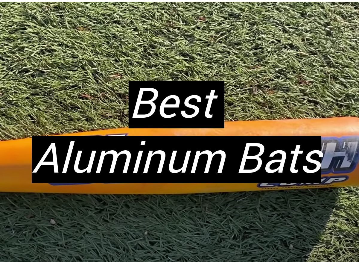 Top 5 Best Aluminum Siding Cleaners [2020 Review] MetalProfy