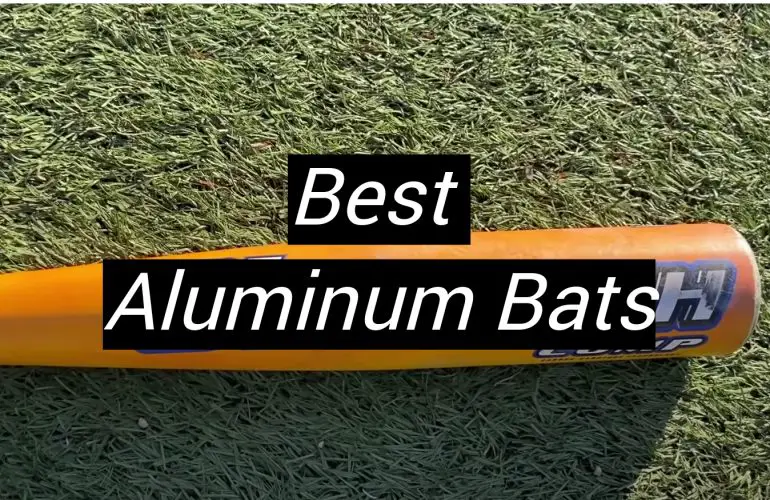 5 Best Aluminum Bats
