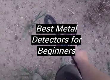 5 Best Metal Detectors for Beginners