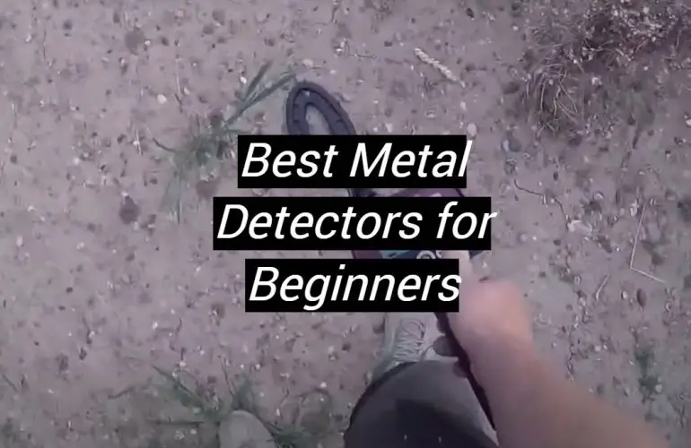 5 Best Metal Detectors for Beginners