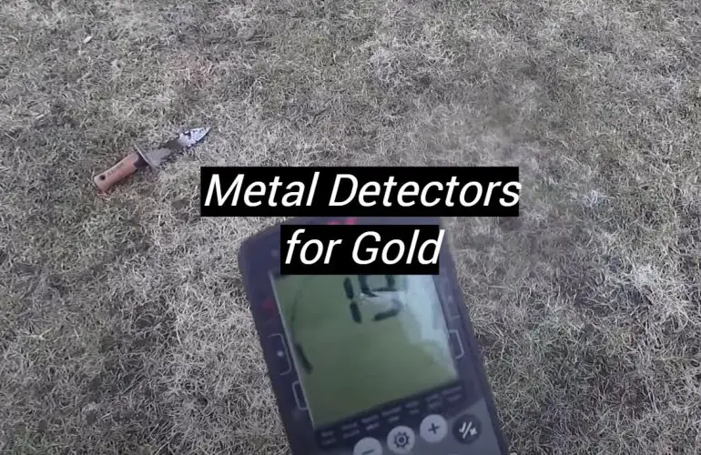 5 Best Metal Detectors for Gold
