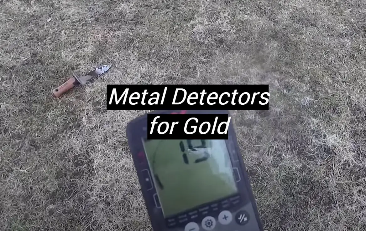 Top 5 Best Metal Detectors For Gold [January 2024 Review] - MetalProfy