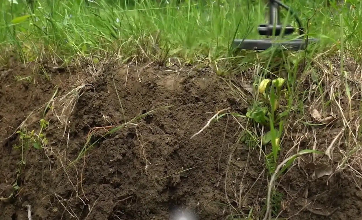 Top 5 Best Metal Detectors Under 300 [August 2024 Review] MetalProfy