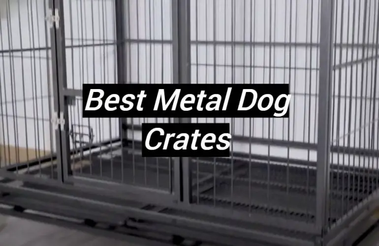 5 Best Metal Dog Crates