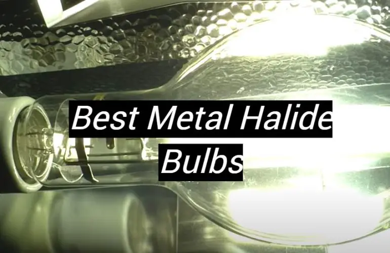 5 Best Metal Halide Bulbs