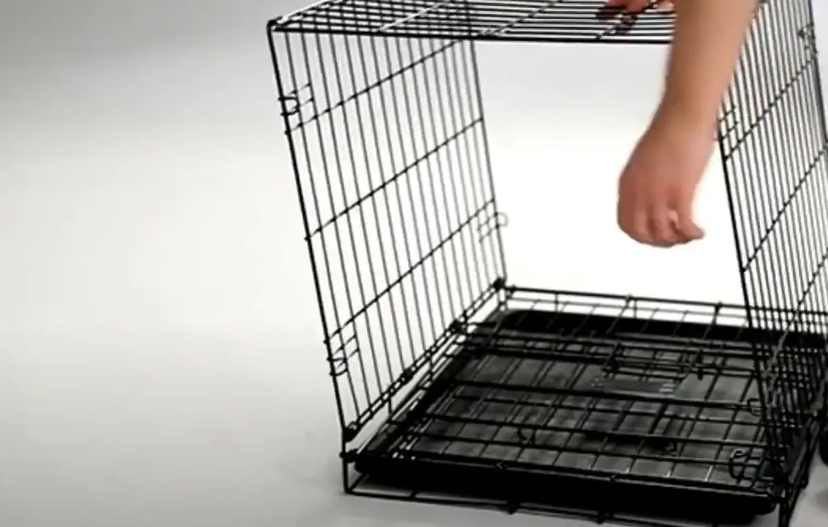 Top 5 Best Metal Dog Crates [October 2023 Review] MetalProfy