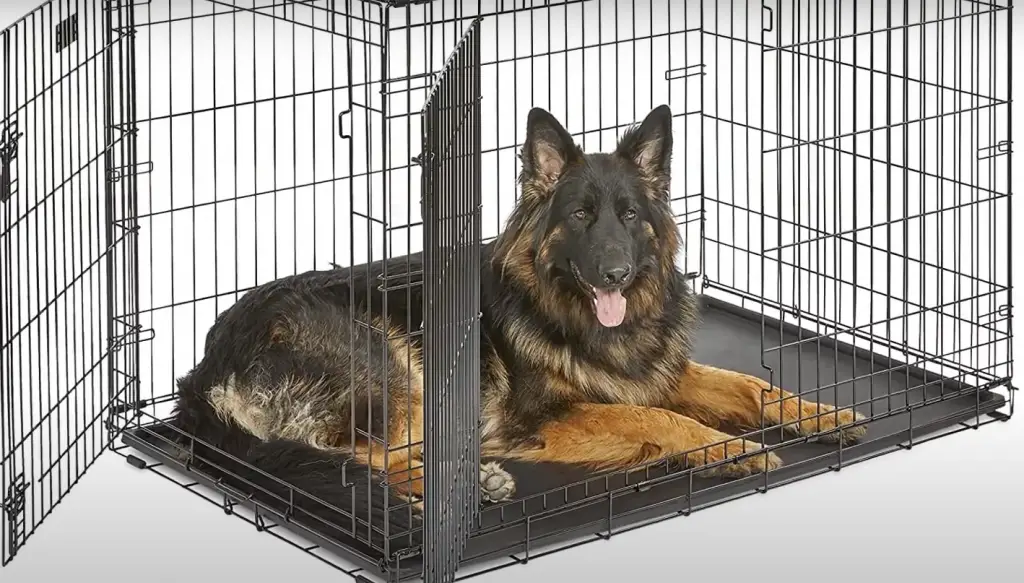 How to Put Together a Metal Dog Crate