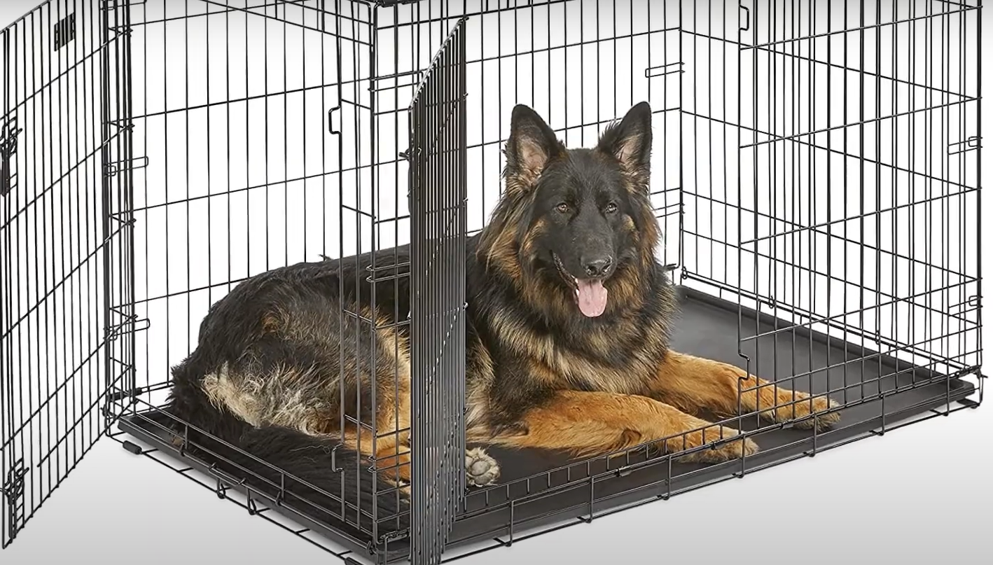 Top 5 Best Metal Dog Crates [July 2024 Review] MetalProfy