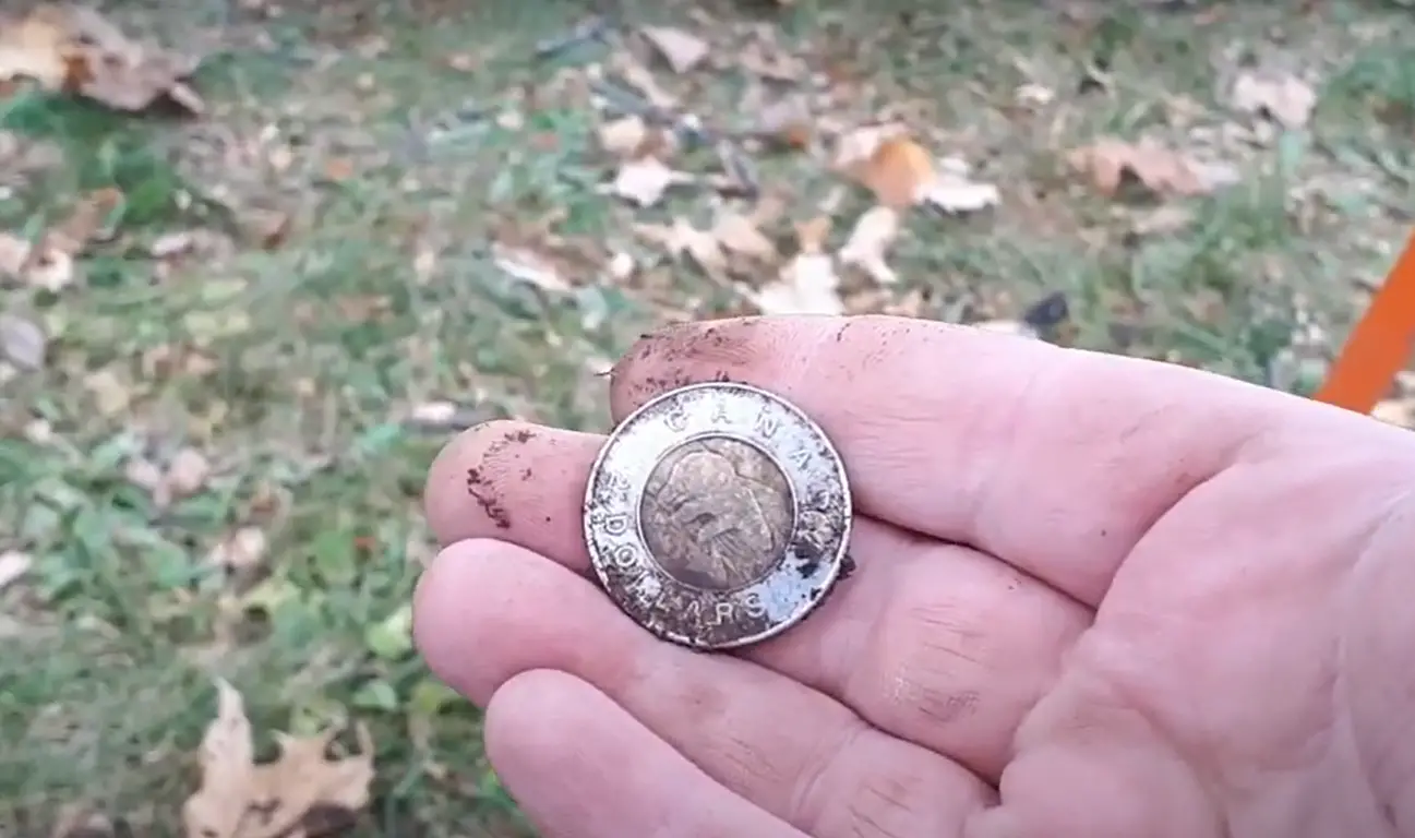 How to Find a Septic Tank With a Metal Detector? MetalProfy