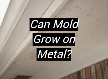 Can Mold Grow on Metal?