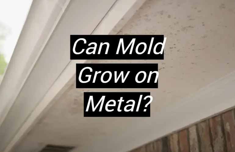 Can Mold Grow on Metal?