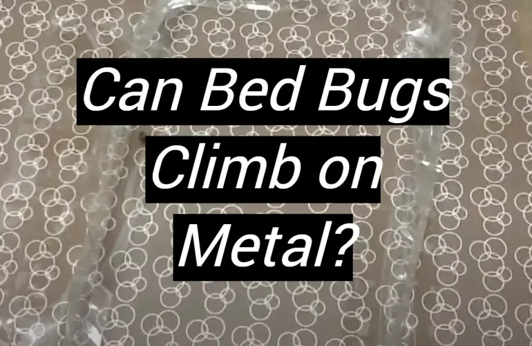 Can Bed Bugs Climb on Metal?