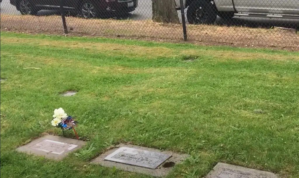 Do professional cleaning services exist for headstones?